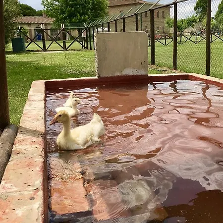 Farmház La Colmata