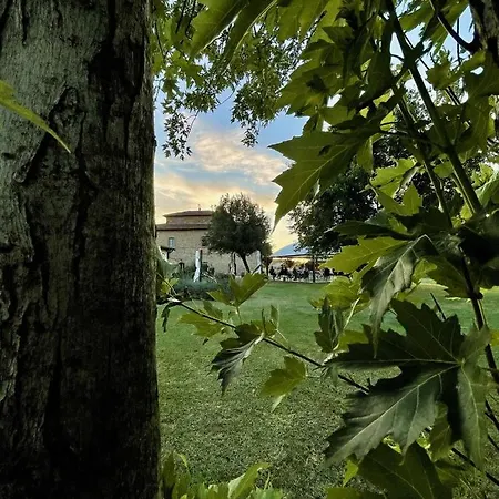 Agriturismo La Colmata Cesa (Arezzo)