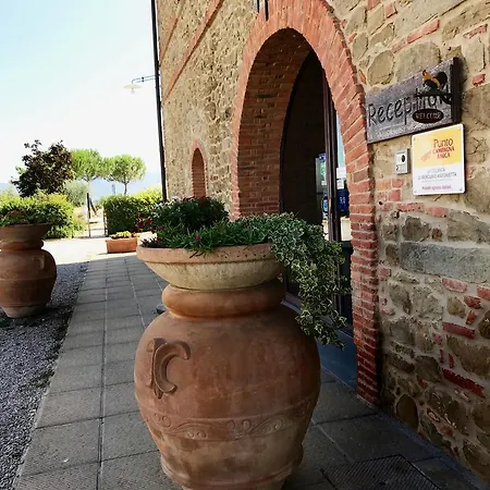 La Colmata Cesa